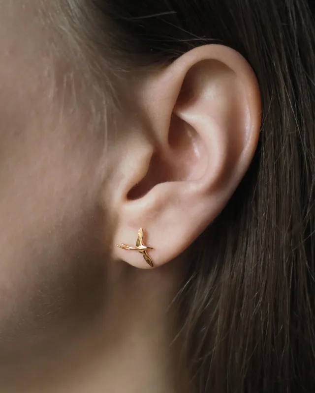 Пусеты Полет